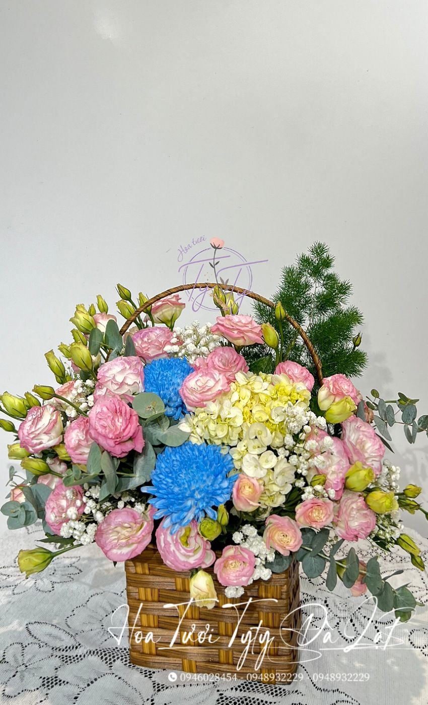 HTDN - 16
