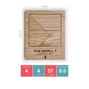 Bộ Small T 5 cấp độ rèn tư duy hình khối