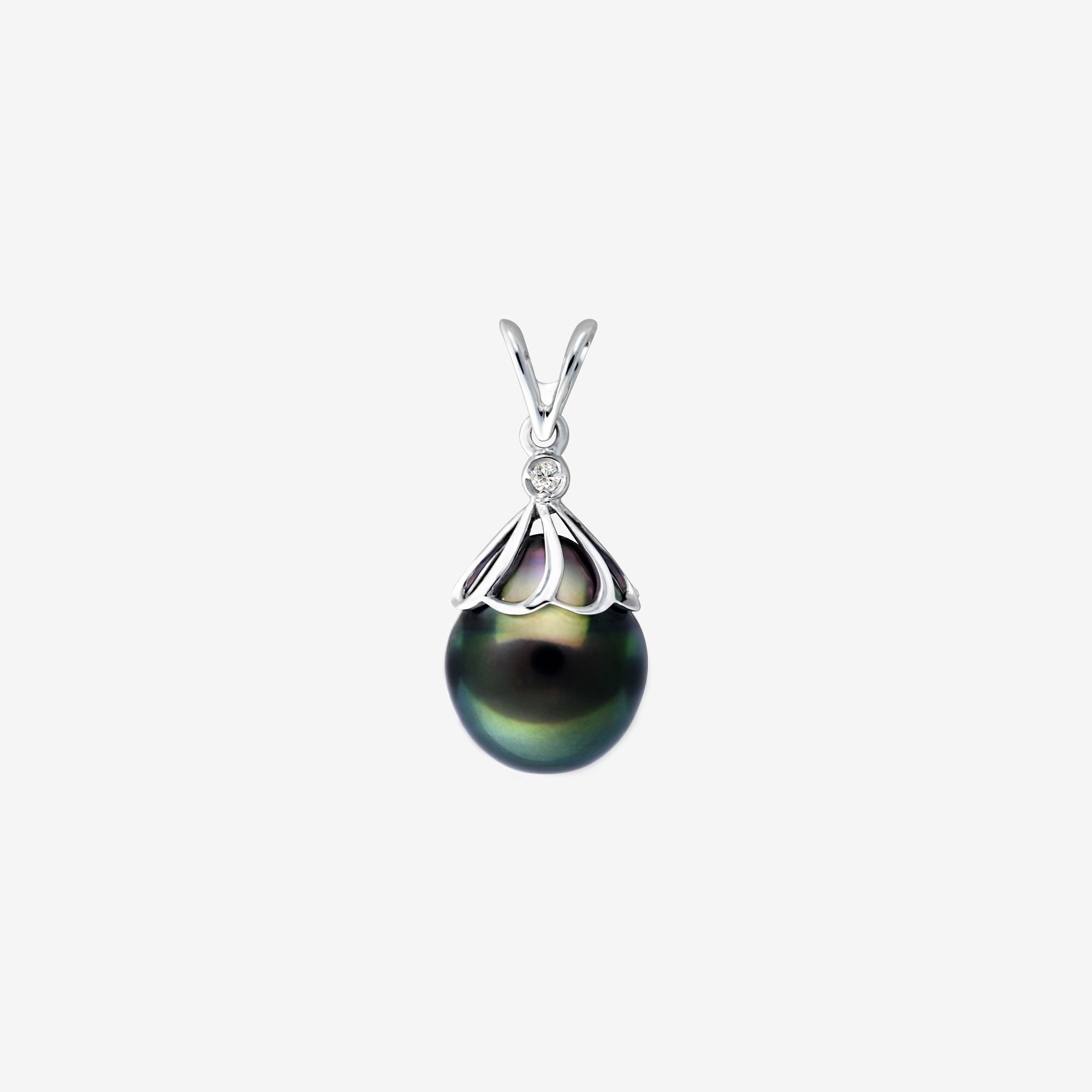 CAMPANULACEAE PEARL PENDANT