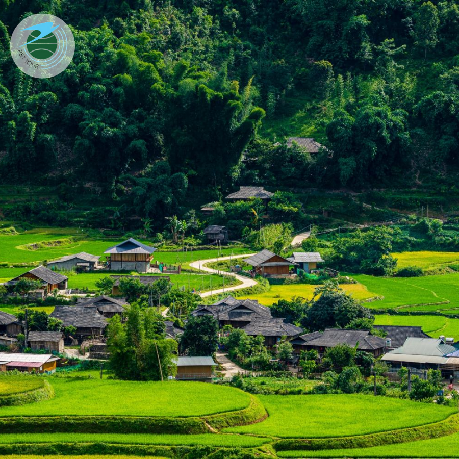 HÀ NỘI - MÙ CANG CHẢI MÙA LÚA CHÍN 2N1Đ