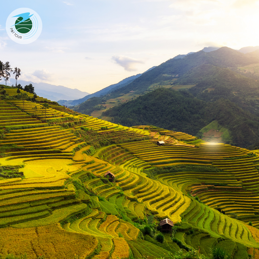 HÀ NỘI - MÙ CANG CHẢI MÙA LÚA CHÍN 2N1Đ