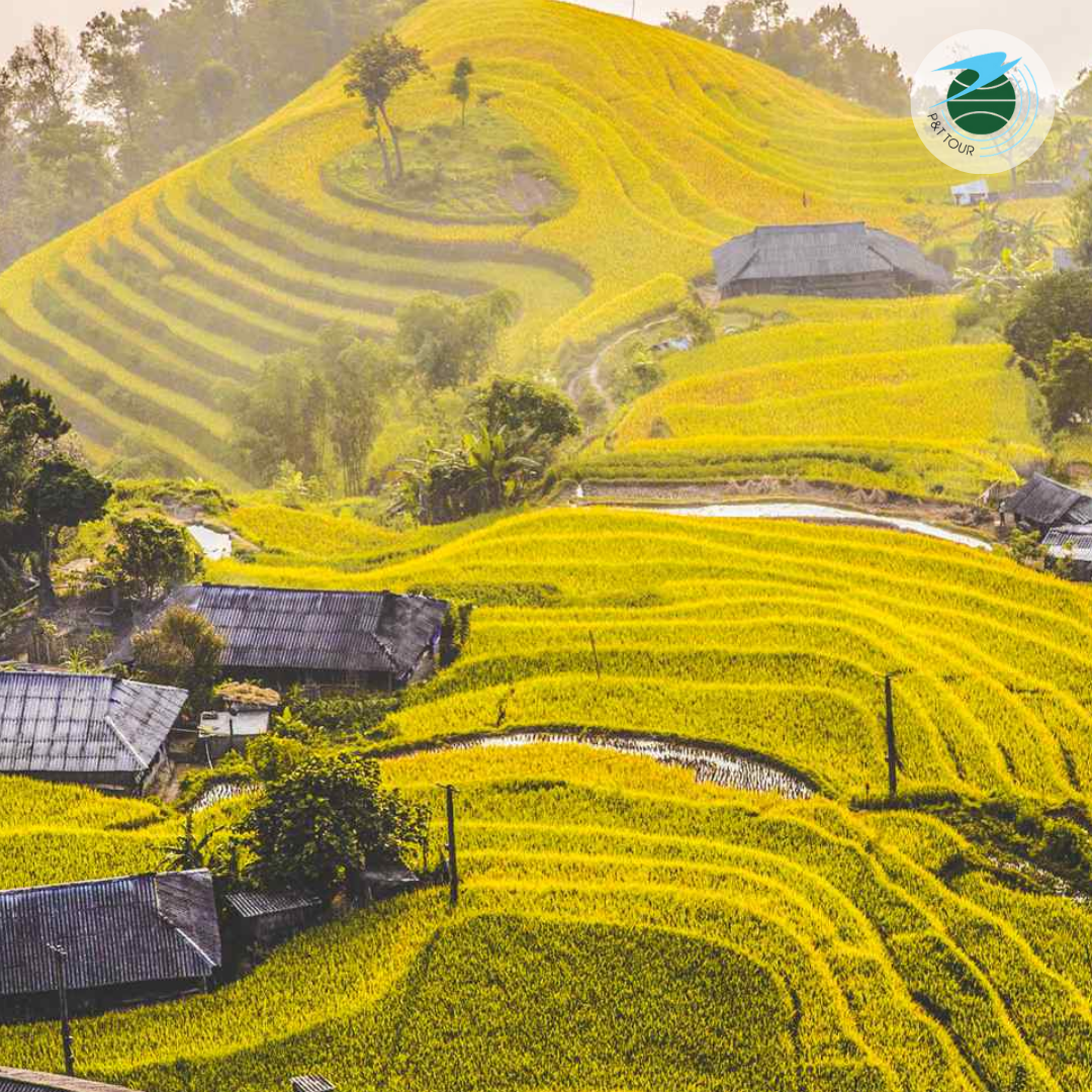 TOUR DU XUÂN BẮC HÀ - ĐỀN BẢO HÀ - HOÀNG SU PHÌ 3N2Đ