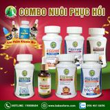  COMBO NUÔI PHỤC HỒI 