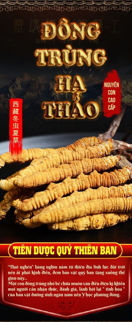 Đông trùng hạ thảo