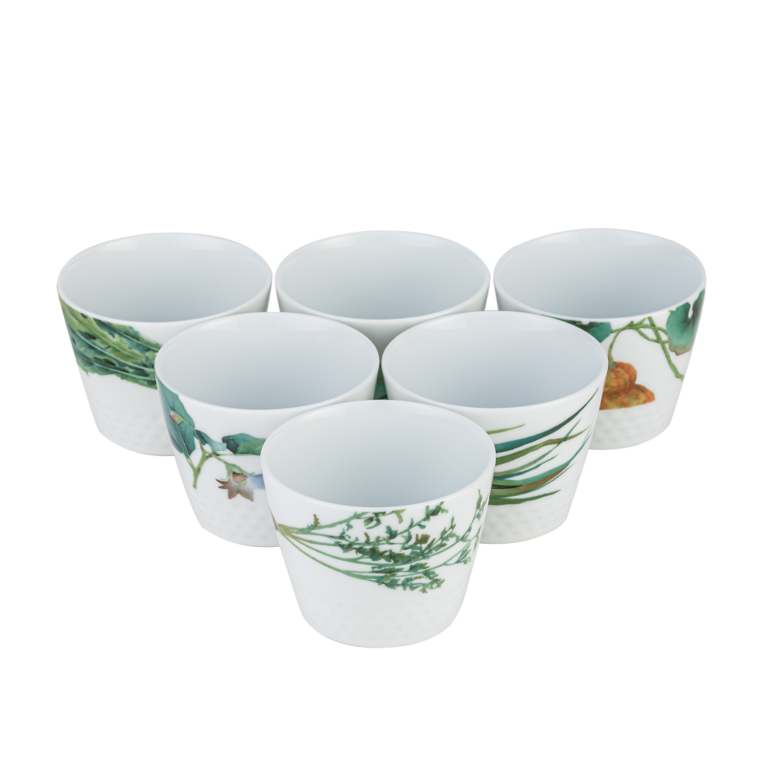 Bộ 06 chén trà Nhật không quai Noritake Kyoka Shunsai 220ml