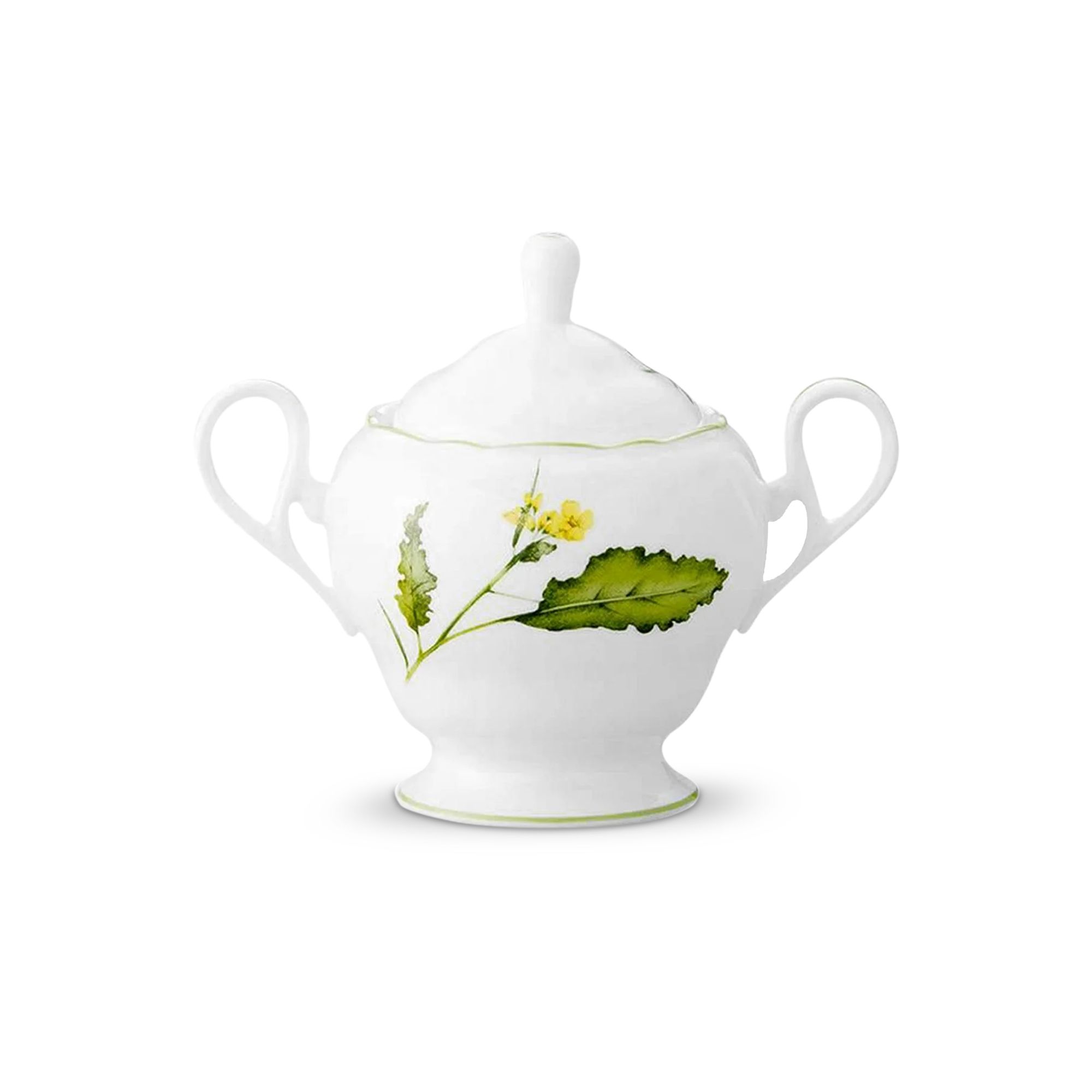 Bình đường Noritake English Herbs 360ml