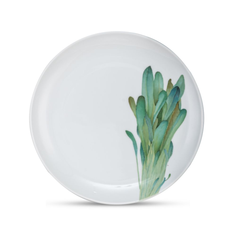 Đĩa tròn cỡ vừa loại coupe (họa tiết cải Mibuna) Noritake Kyoka Shunsai 24,1cm