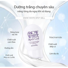 Gel Trị Thâm Snow White Spot Gel Secret Key 65g