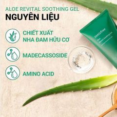 Gel Dưỡng Ẩm Đa Năng Innisfree Aloe Revital Soothing 300ml