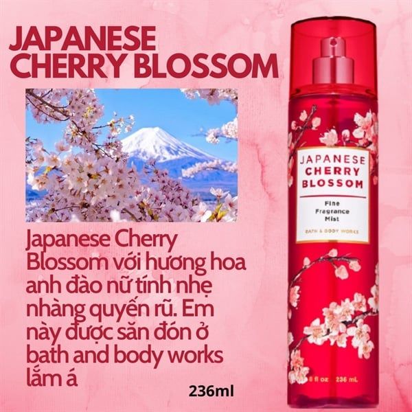 Xịt Thơm BBW #Japanese Cherry Blossom 236ml