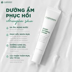 Caryophy - Kem Dưỡng Cấp Nước & Phục Hồi Da Mụn Smart Waterful Cream 40ml