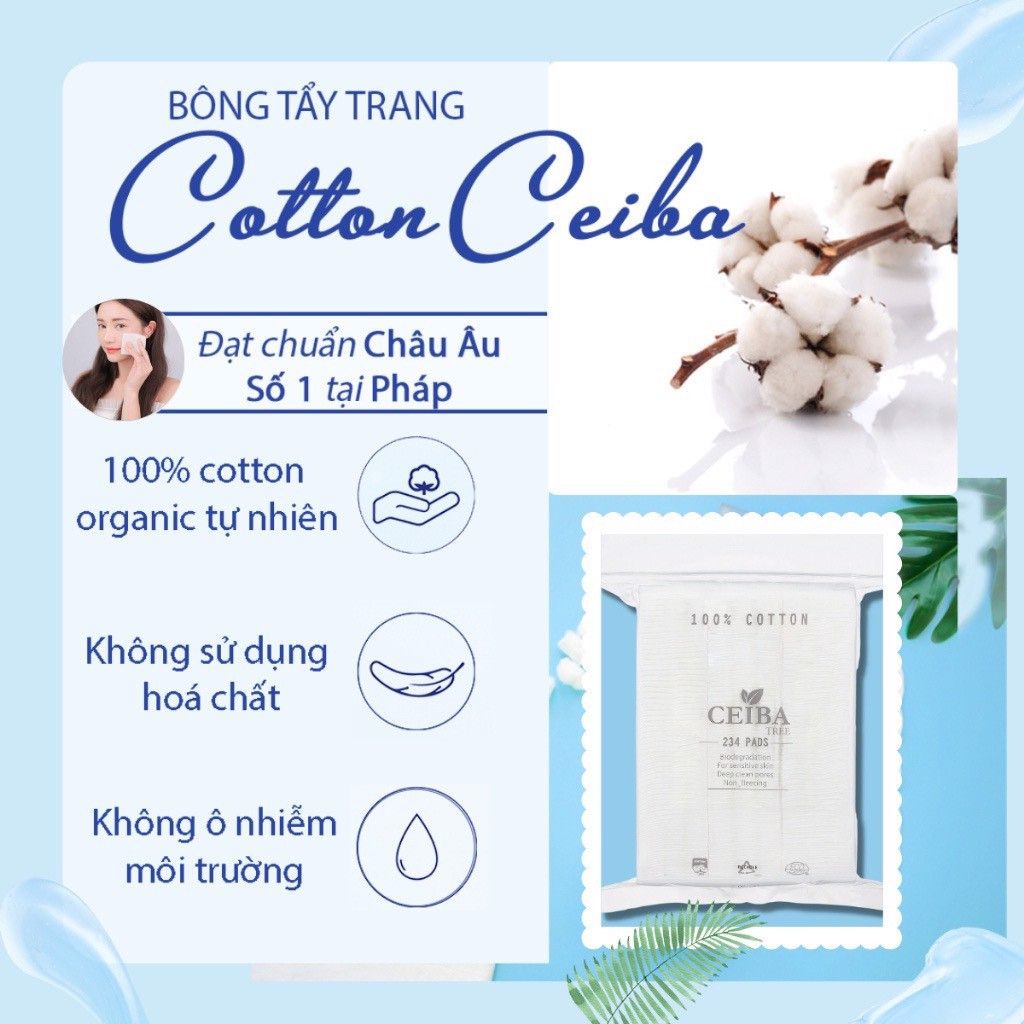 Bông Tẩy Trang Ceiba Tree 234 Pad