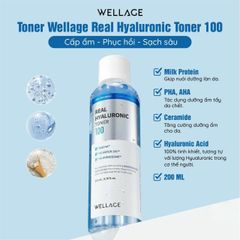 Nước Hoa Hồng Cấp Ẩm Sâu Cho Da Wellage Real Hyaluronic Toner 100