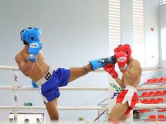 Găng Boxing Fighter Cao Cấp Thi Đấu - Boxing, KickBoxing, Võ Cổ Truyền, Muay Thái