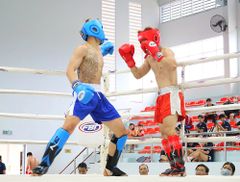 Găng Boxing Fighter Cao Cấp Thi Đấu - Boxing, KickBoxing, Võ Cổ Truyền, Muay Thái