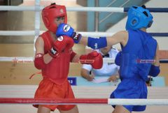 Bảo Hộ Chỏ Fighter Thi Đấu Cao Cấp | Muay Thai, Võ Cổ Truyền