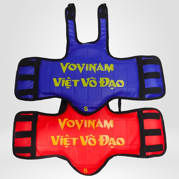 Giáp Vovinam Hai Mặt