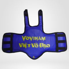 Giáp Vovinam Hai Mặt