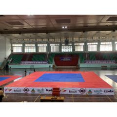 Sàn Đài Taekwondo Fighter Thi Đấu Quốc Gia