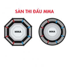 Sàn Thi Đấu MMA Tiêu Chuẩn Quốc Gia