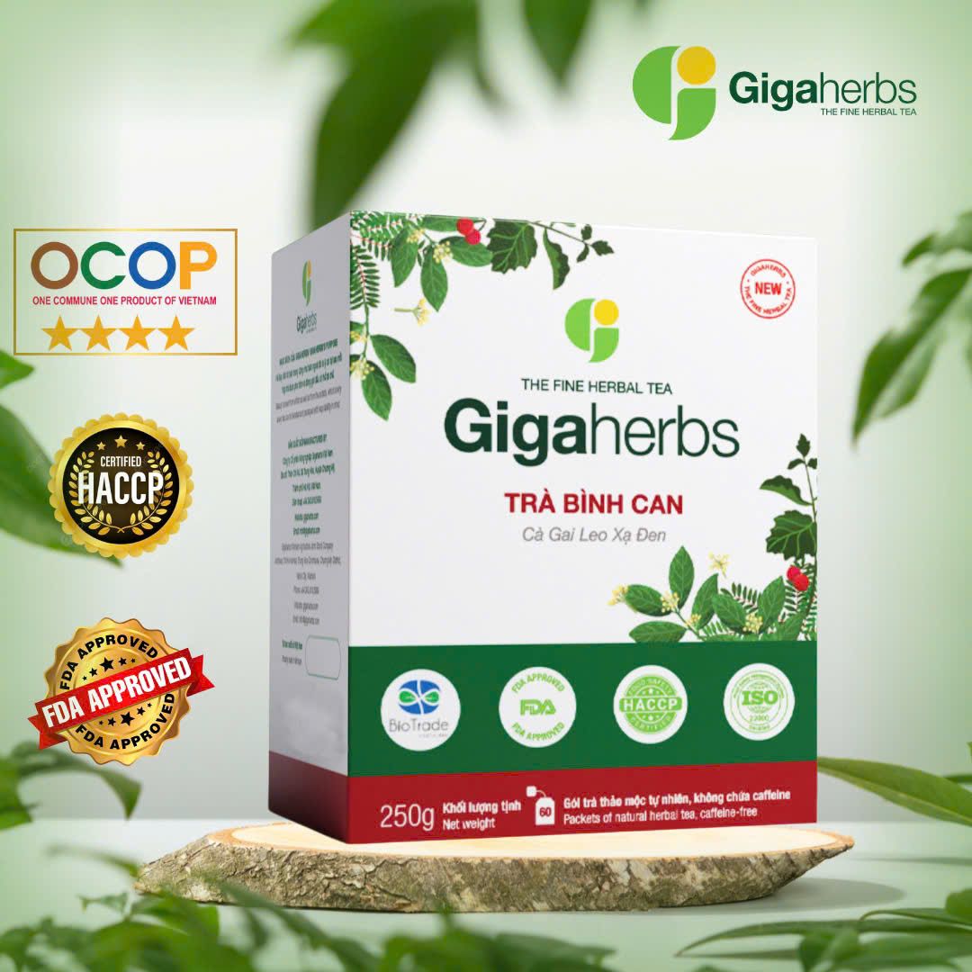 Trà Bình Can - Cà Gai Leo Xạ Đen Gigaherbs - Thanh Nhiệt Giải Độc Gan - Sản Phẩm Chính Hãng