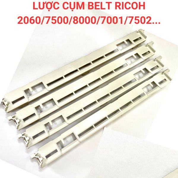 Lược băng tải (lược belt) Ricoh 2060/7500/7001/7502...