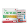 FIVE - Ampicon