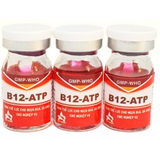  ASTA - B12-Atp 