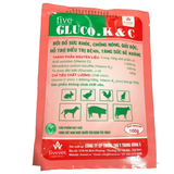  FIVE - Gluco.K & C 