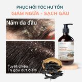  Dầu gội bồ kết chống rụng tóc, nấm ngứa da đầu Vitacare 500ml 