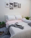 BỘ COTTON CM CARO TRẮNG HỒNG