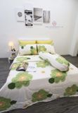 BỘ COTTON CM BÔNG LỚN XANH CỐM