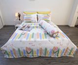 BỘ COTTON NGŨ SẮC LOANG MÀU