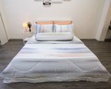 Bộ chăn ga gối Ngọc Hạnh Tencel lụa sọc nhuyễn xám