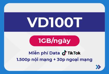 VD100T 6T