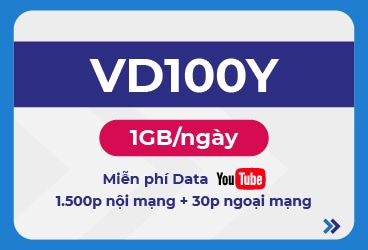 VD100Y 6T