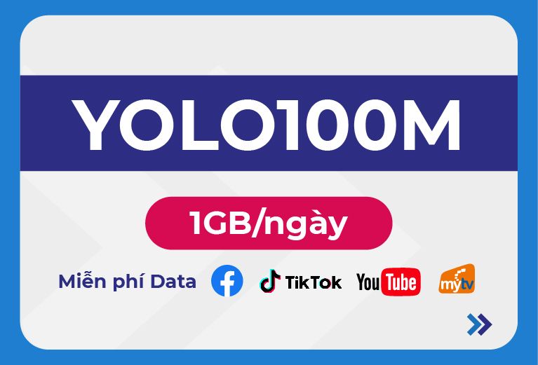 YOLO100M 12T