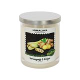  Nến Thơm Himalaya - Lemongrass & Ginger 1 bấc 230g 