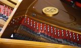 Grand Piano Petrof Master Series P237 Monsoon