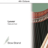 BOW LEVER GUT COMPLETE 4TH OCT