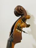 Đàn Doublebass Knooren (Bao gồm Cover, Bow, Rosin, Dây đàn Pirastro, Hộp cứng gỗ)
