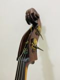 Đàn Doublebass Knooren (Bao gồm Cover, Bow, Rosin, Dây đàn Pirastro, Hộp cứng gỗ)