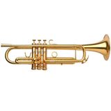 Kèn Trumpet Bb Adams A1