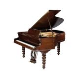 Grand Piano Petrof Special Collection Baroco