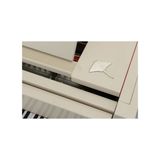 Grand Piano Petrof Special Collection StingRay