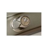 Grand Piano Petrof Special Collection StingRay