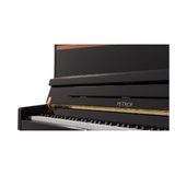 Đàn Piano Upright Petrof Special Collection Tiger Wood