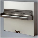 Đàn Piano Upright Petrof Special Collection Next