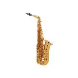 Kèn Saxophone Alto Selmer Jubilee SA80 II AUG