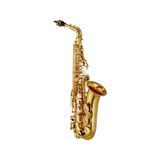 Kèn Saxophone Alto Yamaha YAS-480